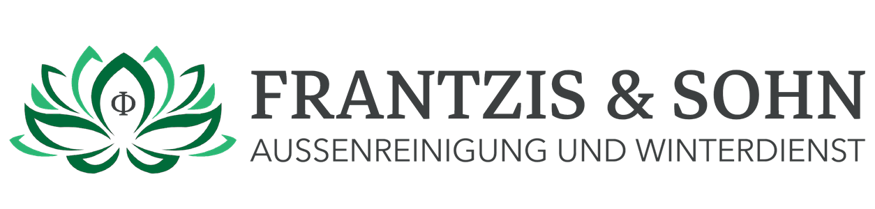 aussenreinigung-frantzis.de